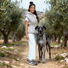 Gray hooded vest with tie belt, elegant minimalist design from VVC Shop
