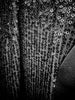 Close-up of the black sequined fabric and textured finish of the Kenco long blazer.